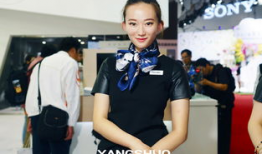 魔麻豆,揭秘虚拟偶像的崛起与魅力